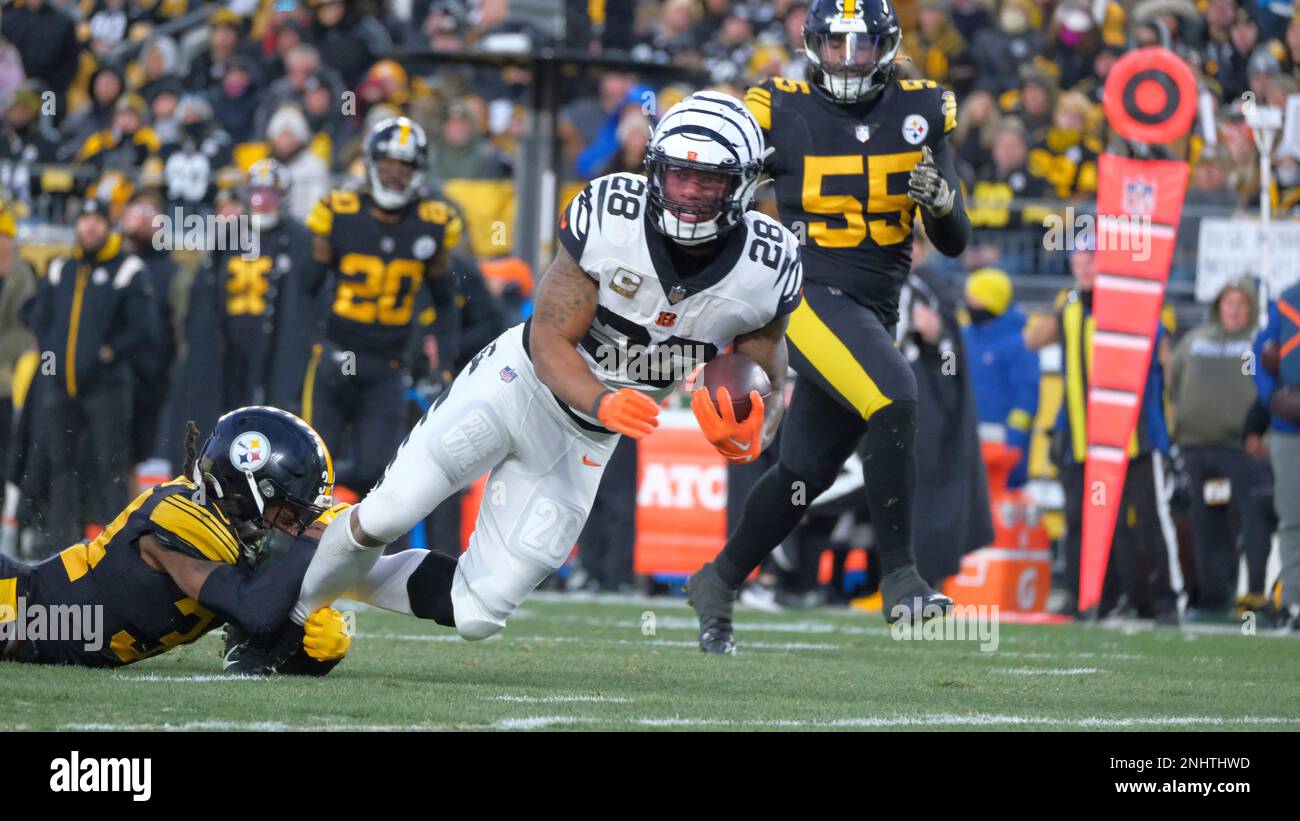 Pittsburgh, Pennsylvania, USA. 20th Nov, 2022. November 20th, 2022  Cincinnati Bengals running back Joe Mixon (28) and Cincinnati Bengals  running back Samaje Perine (34) celebrate after scoring a touchdown during  Pittsburgh Steelers