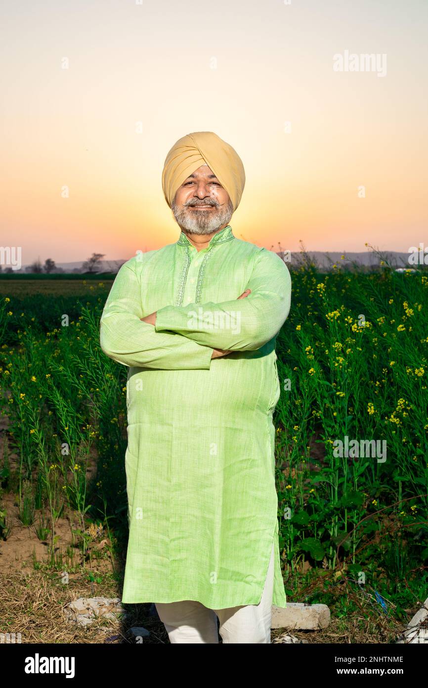 Portrait of happy senior punjabi sikh man farmer standing cross arms wearing turban and kurta looking at camera at agriculture field. Stock Photo