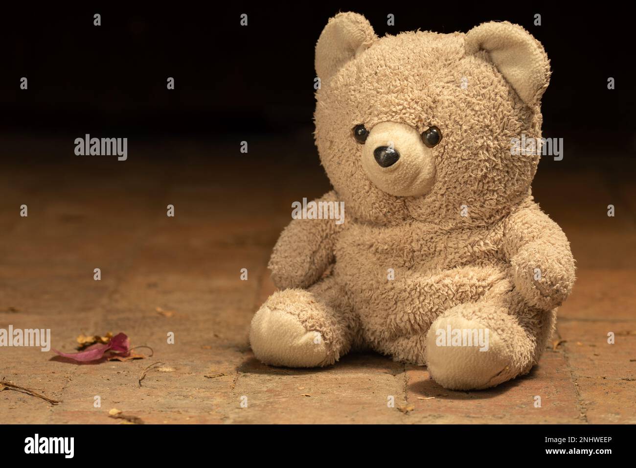 Childhood teddy bear hi-res stock photography and images - Alamy