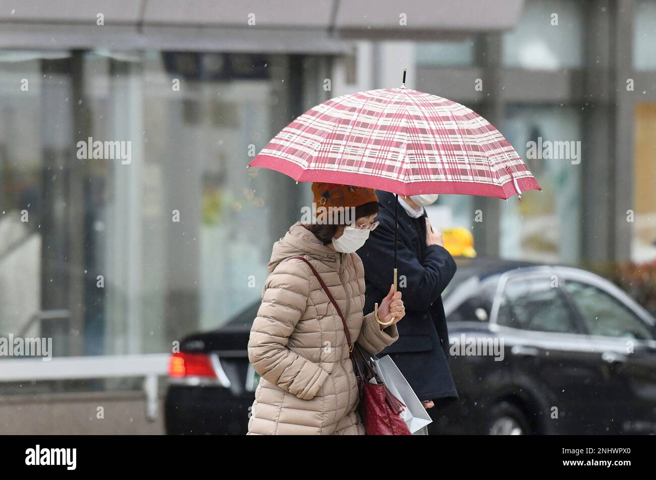 The first snow is observed in Sapporo City, Hokkaido Prefecture, northern Japan, on November 16