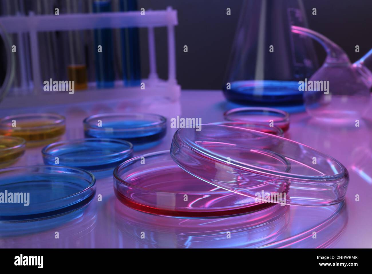 Petri dishes with different colorful samples on table, color toned ...