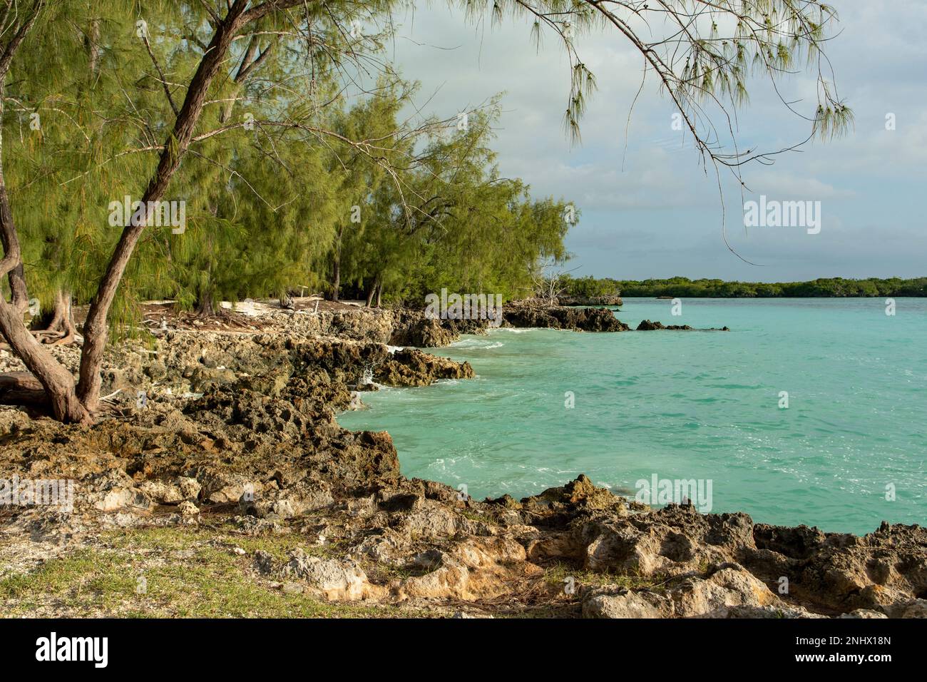 View at Picard West, Aldabra Island, Seychelles Stock Photo