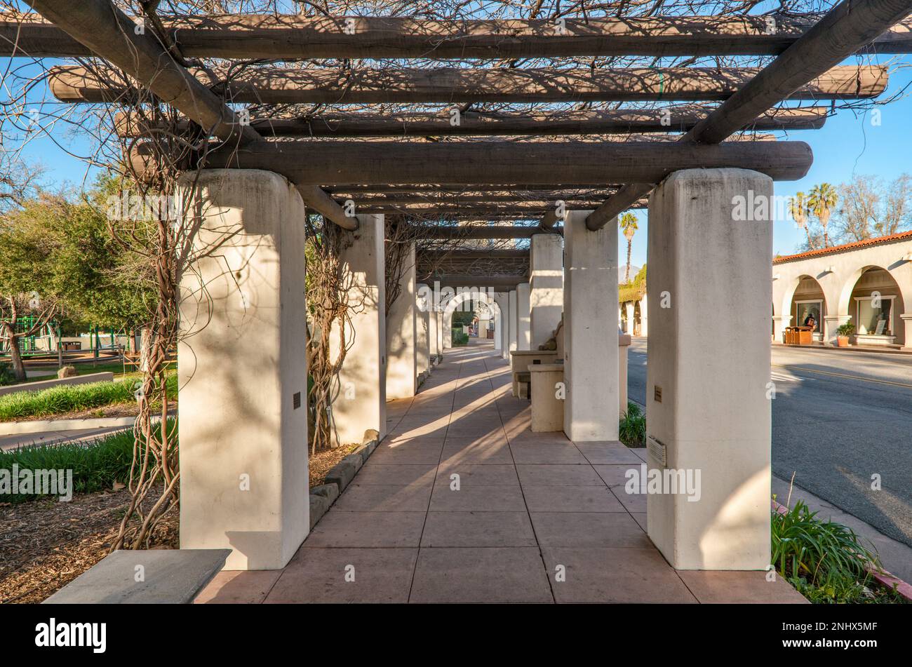 Pergola in Libbey Park, leafless in early spring, Ojai Avenue, Ojai, California, USA Stock Photo