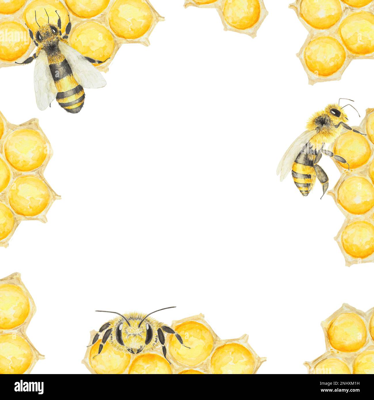 Watercolor illustration of honey and bees. Hand drawn background