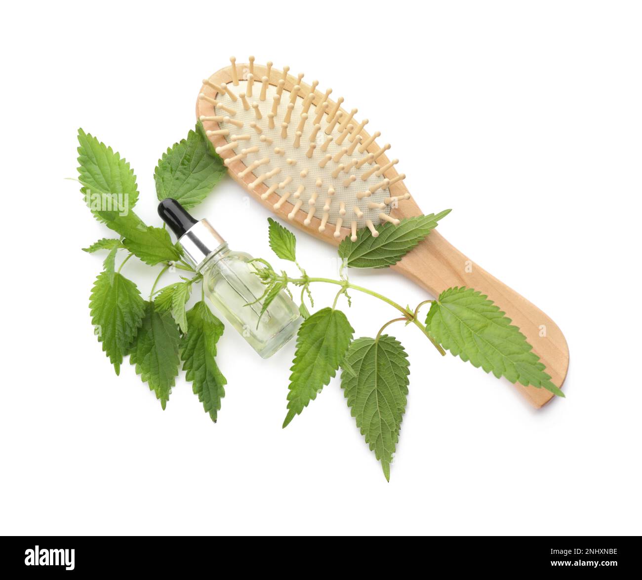 Stinging nettle extract in bottle, green leaves and brush on white
