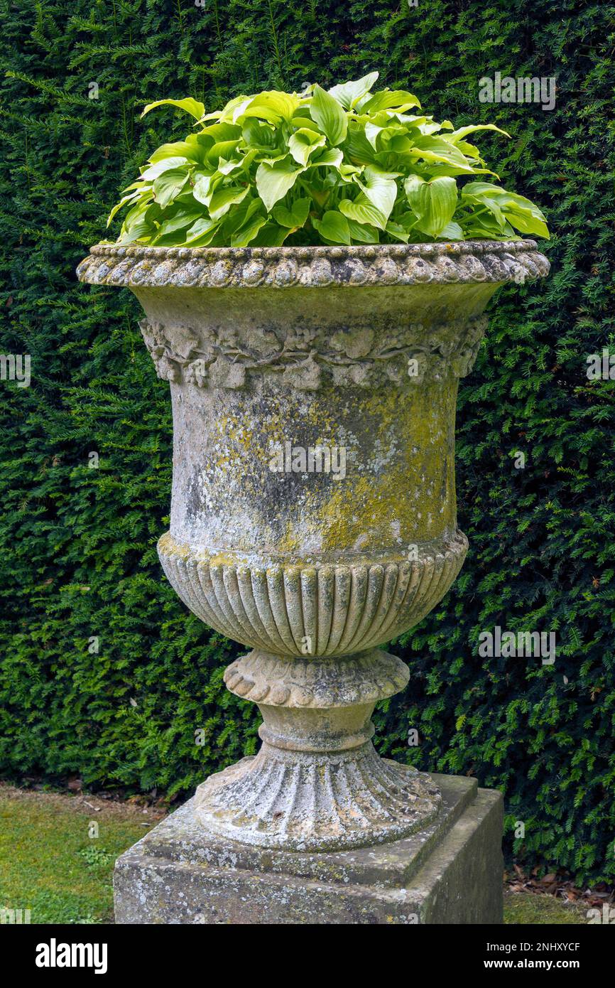 Large garden urn hires stock photography and images Alamy