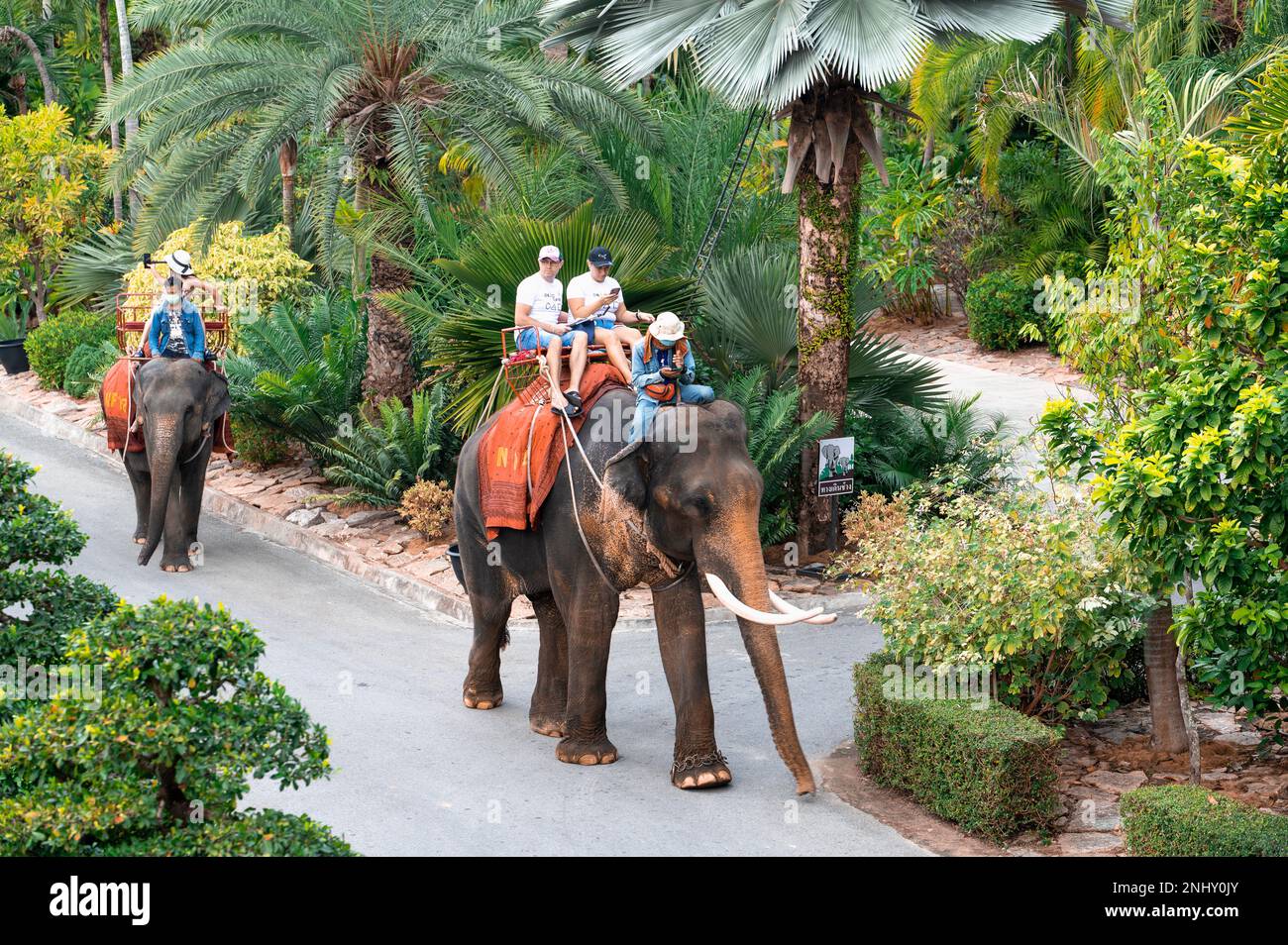 Pattaya, Thailand 22 February 2023 Nong Nooch Tropical Garden