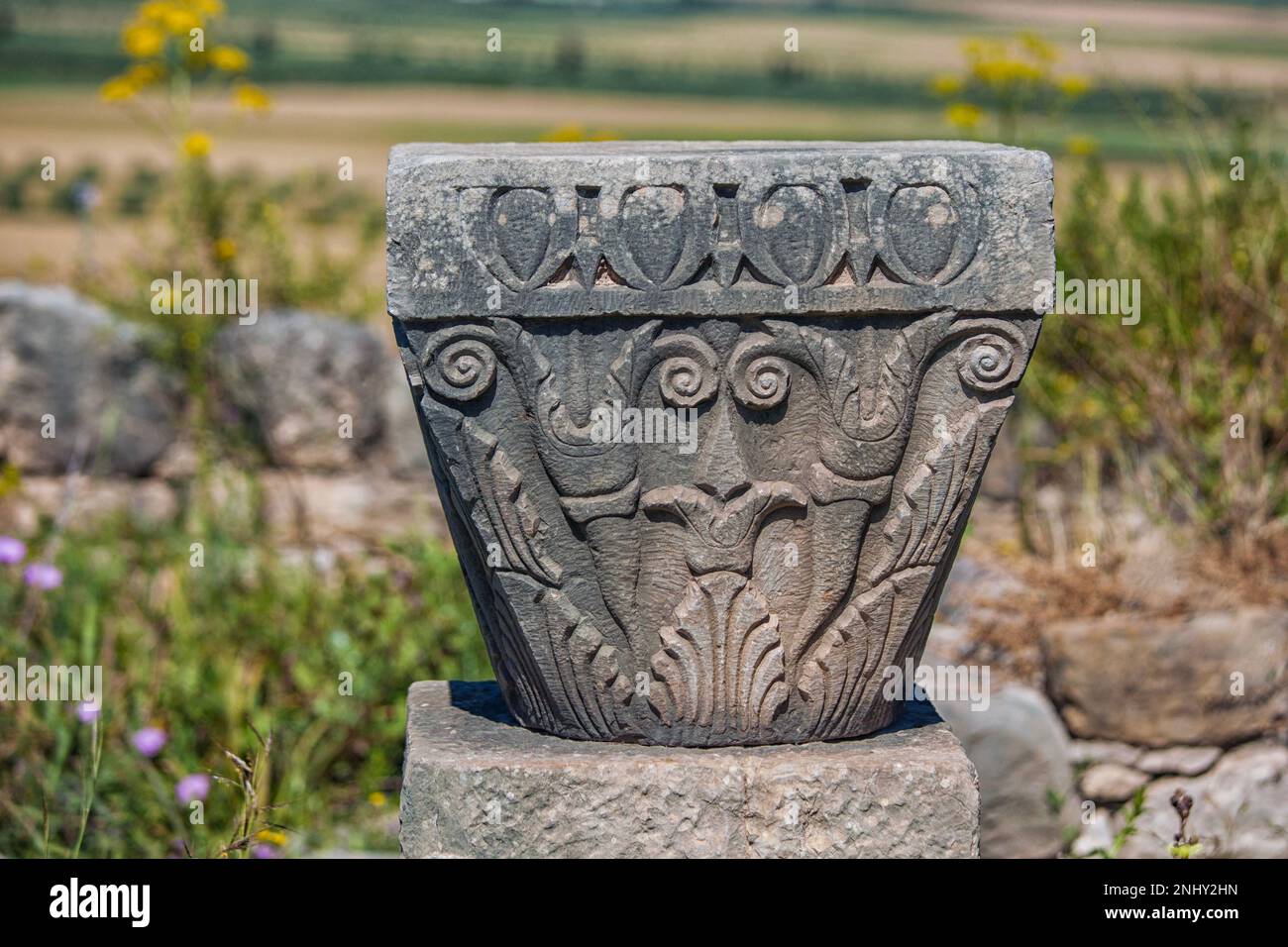 Detail carving on stone, Volubilis, Morocco Stock Photo