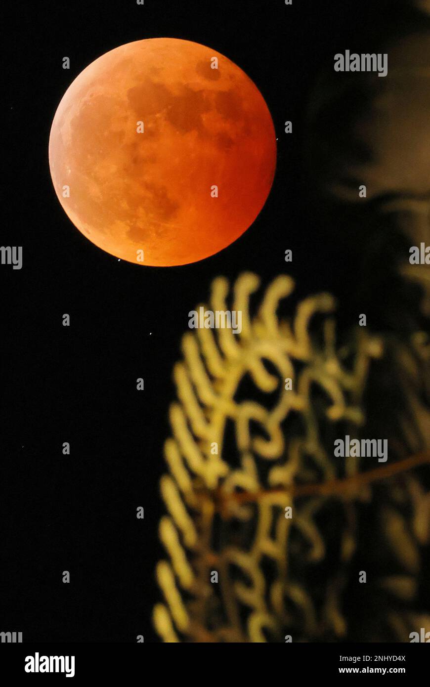 A total lunar eclipse is seen with five-storied pagota of Kofukuji Temple  in Nara Prefectuer on Nov. 8, 2022. The celestial phenomenon, often called  a blood moon, as the Moon turns red,