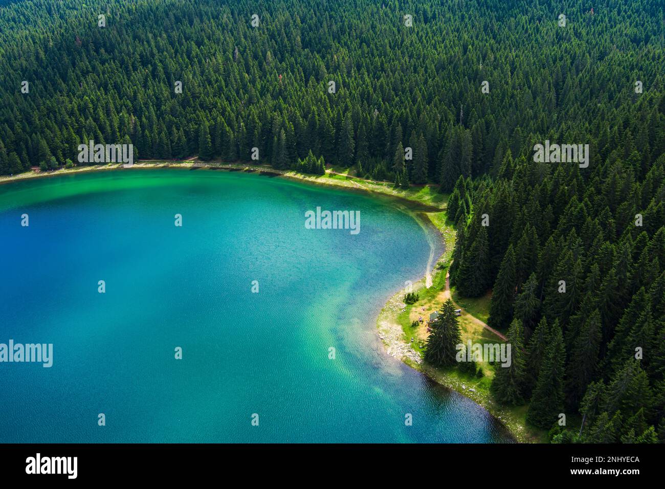 Montenegro. Durmitor National Park. Black lake surrounded by green