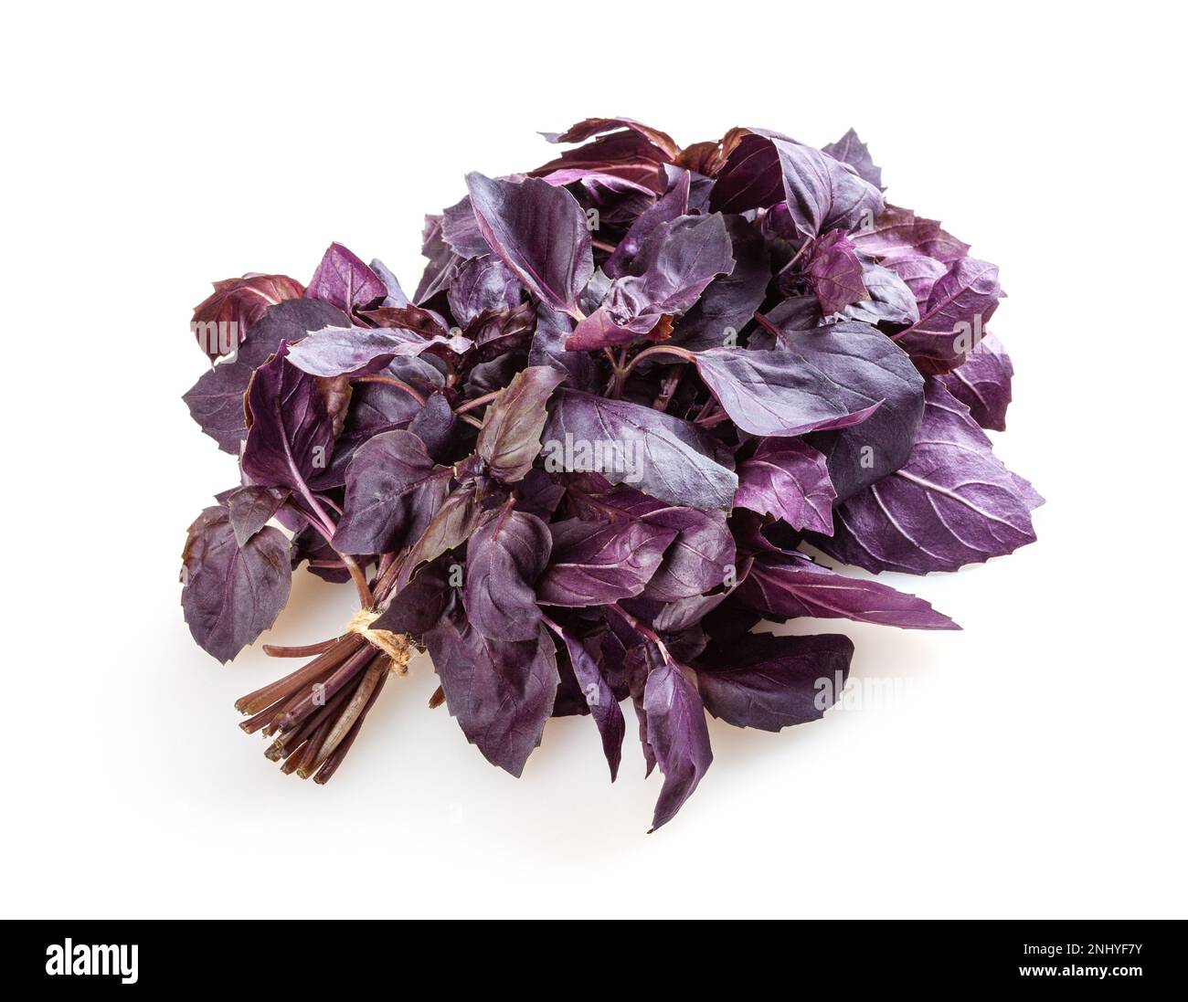 Fresh purple basil leaves isolated on white background Stock Photo Alamy