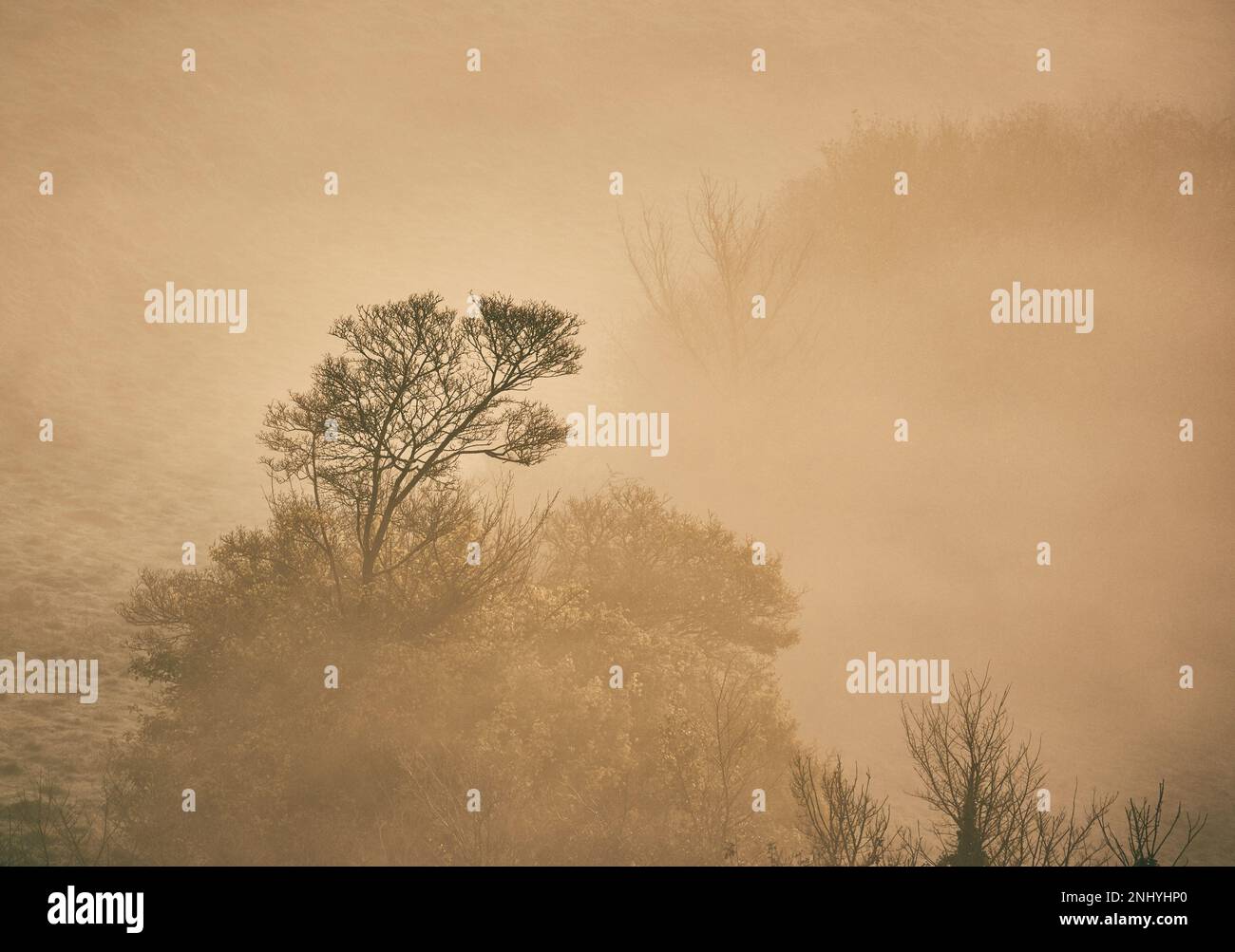 The mists of Avalon rolling through the landscape from Glastonbury Tor, Glastonbury, Somerset. Stock Photo