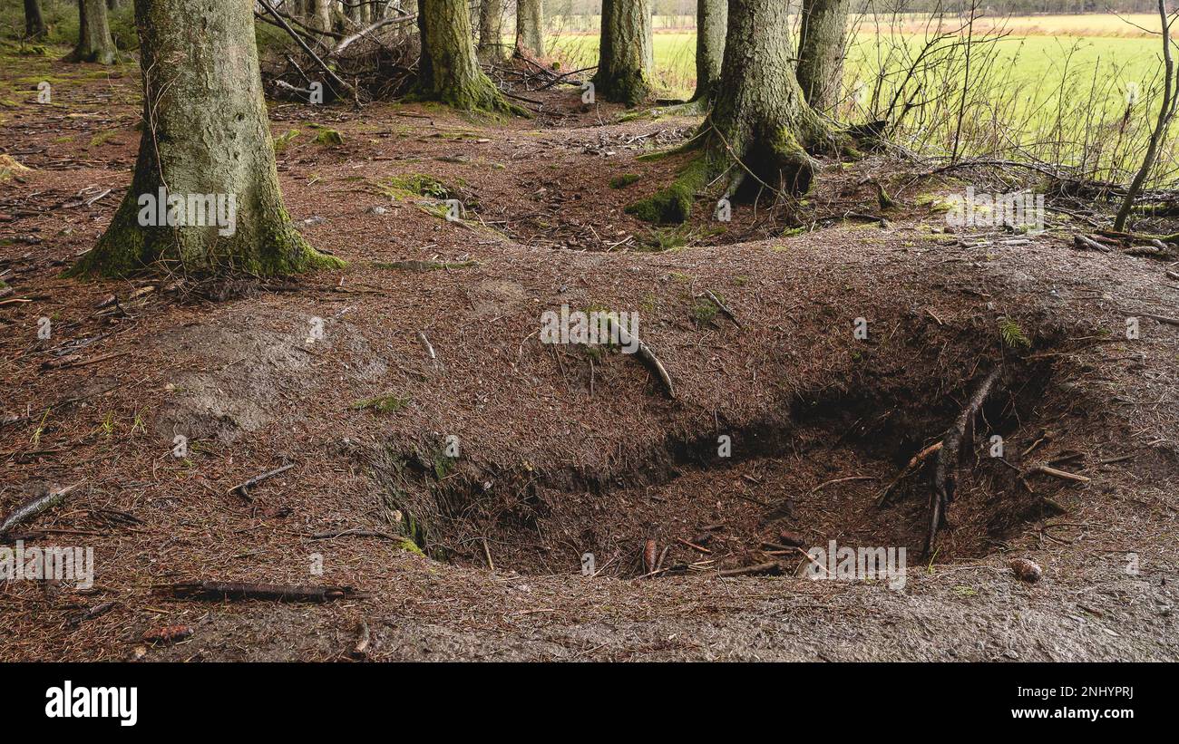 Bois Jacques. The forest of the foxholes from Easy Company, 101st Airborne division. Close to