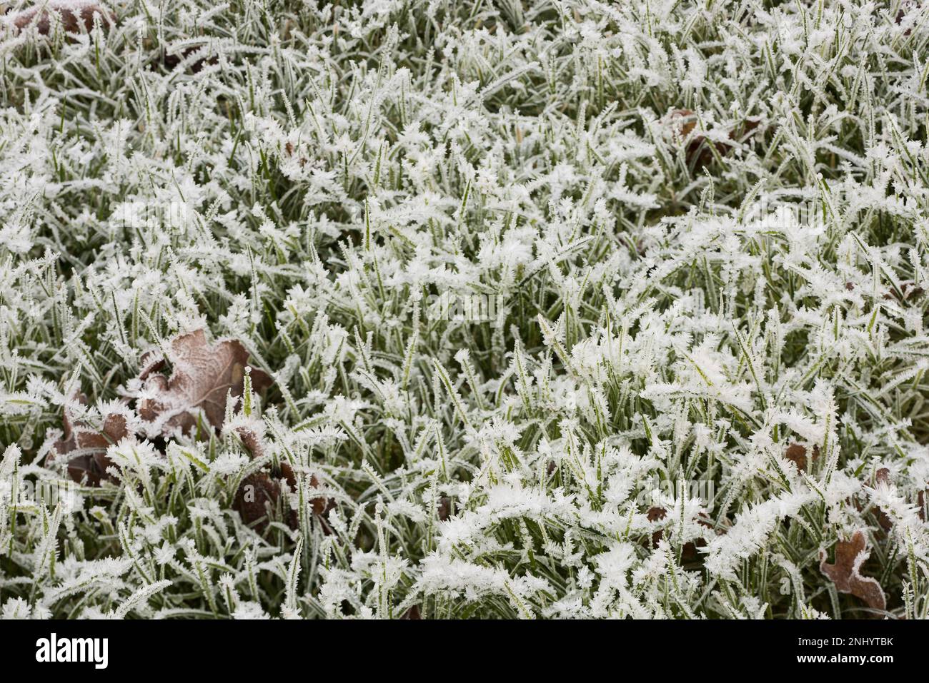 White jagged crystalline deposits of frozen water vapour formed in clear still weather on