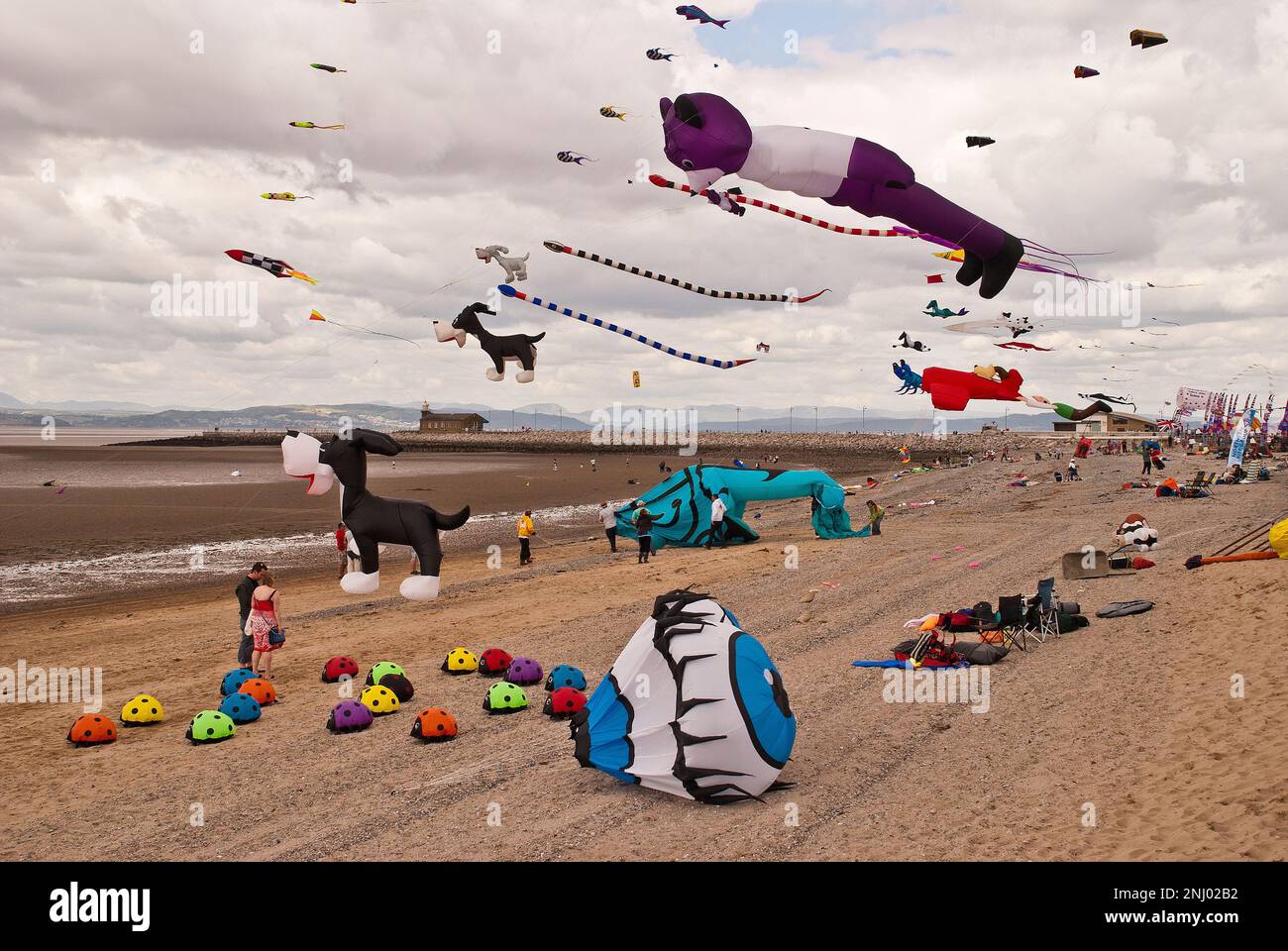 Kites, being flown at the annual Morecambe Kite Festival, where the