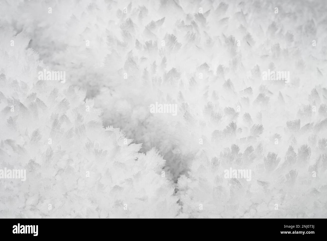 Harsh freezing hoar fog moisture makes water droplets turn directly from water to solid state like feathery beard coating surfaces sublimation process Stock Photo