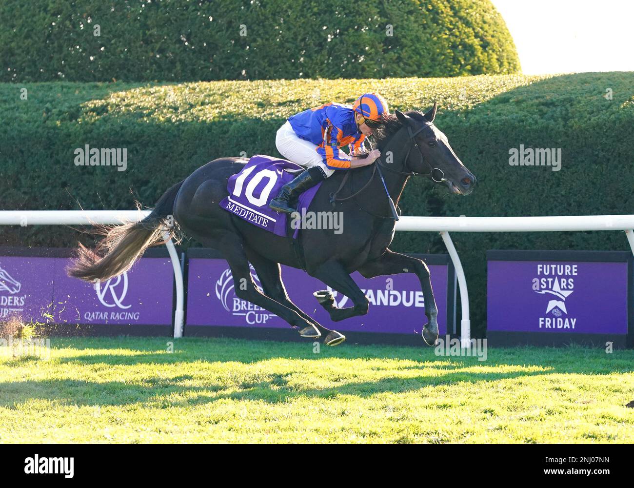 LEXINGTON, KY NOVEMBER 4 Meditate (10) with jockey Ryan Moore up