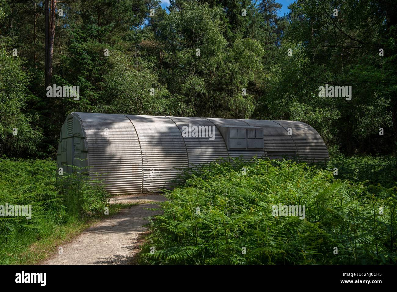 The cast concrete interior sculpture of a Nissen hut by artist Rachel Whiteread in the Dalby Forest near Pickering, North Yorkshire, UK Stock Photo