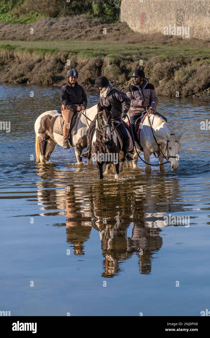 Horse riders riding along the Gannel River in Newquay in Cornwall in