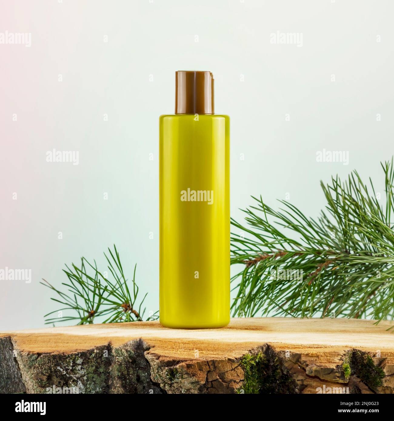 Natural coniferous bath cosmetic product. Mockup. Bottle with beauty product on a wooden podium on a gradient background with fir branches and copy sp Stock Photo