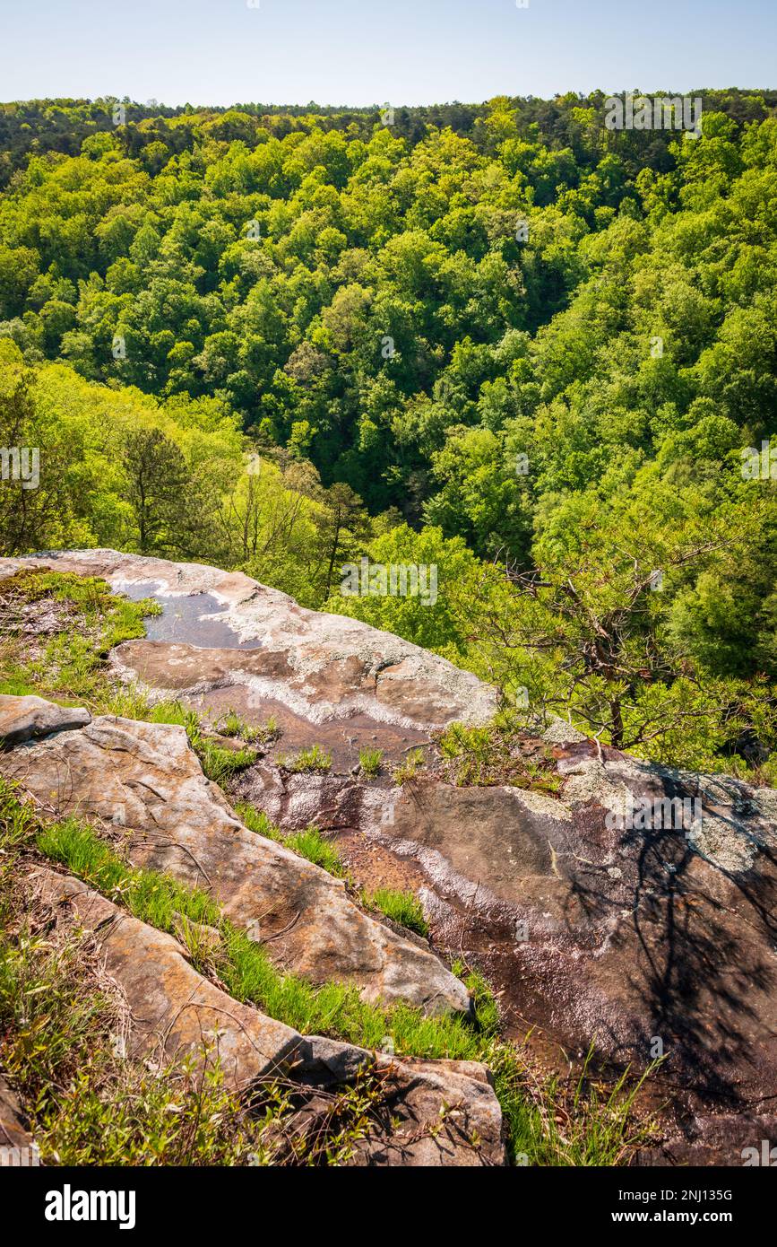 Little River Canyon National Preserve Stock Photo Alamy