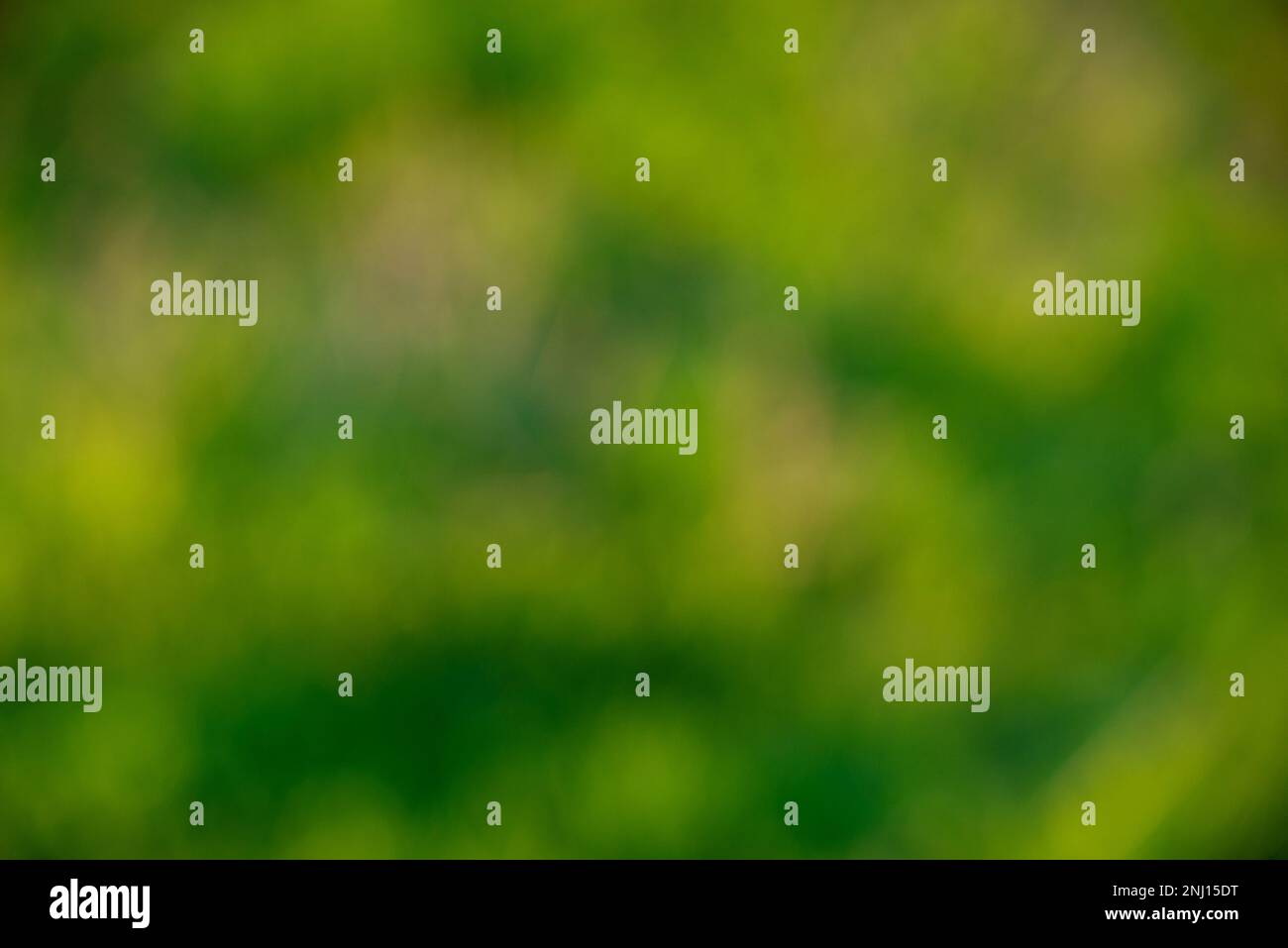 Green grass, blurred background. Concept of freshness. High quality photo Stock Photo