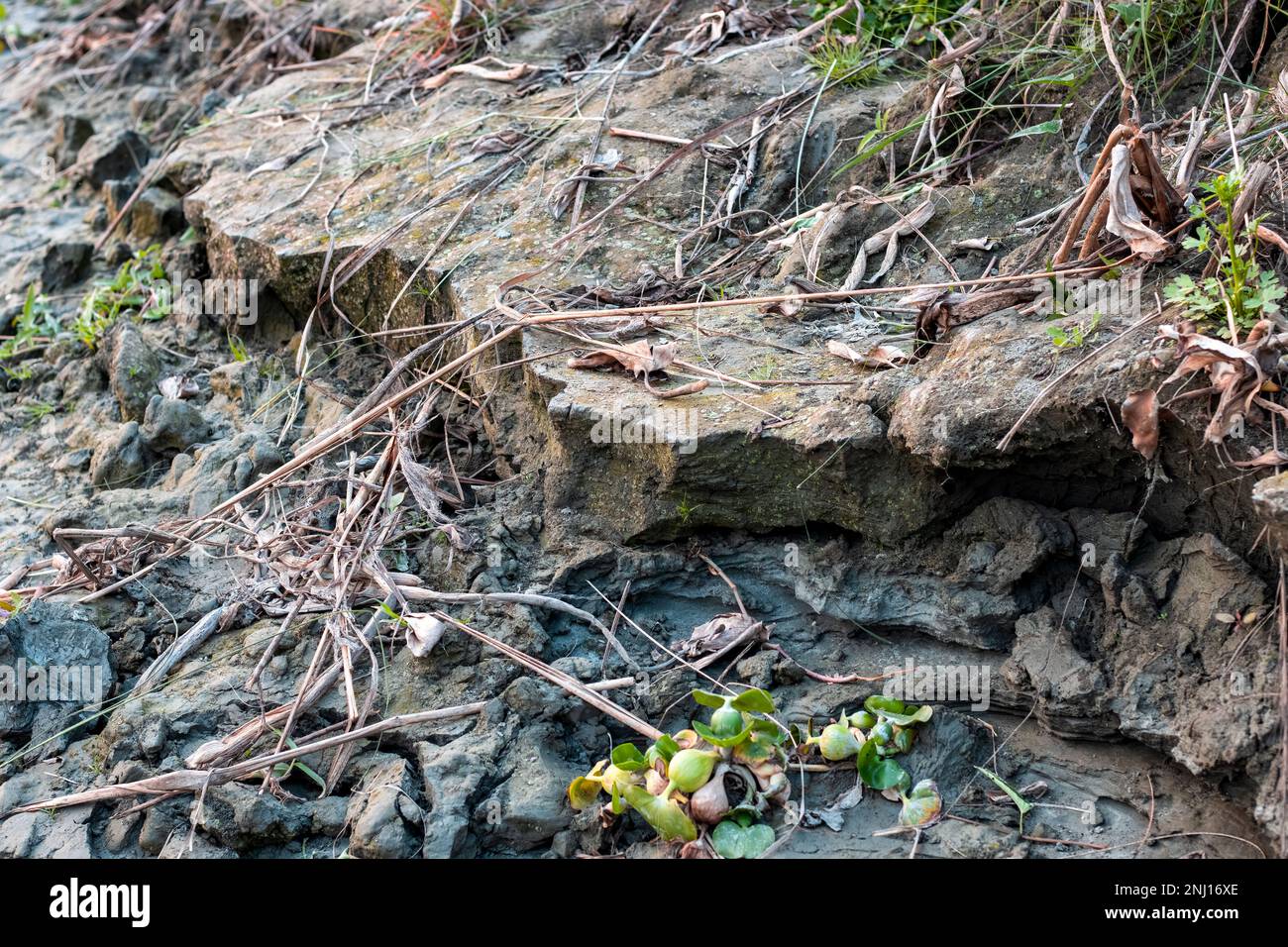 Broken land hi-res stock photography and images - Alamy