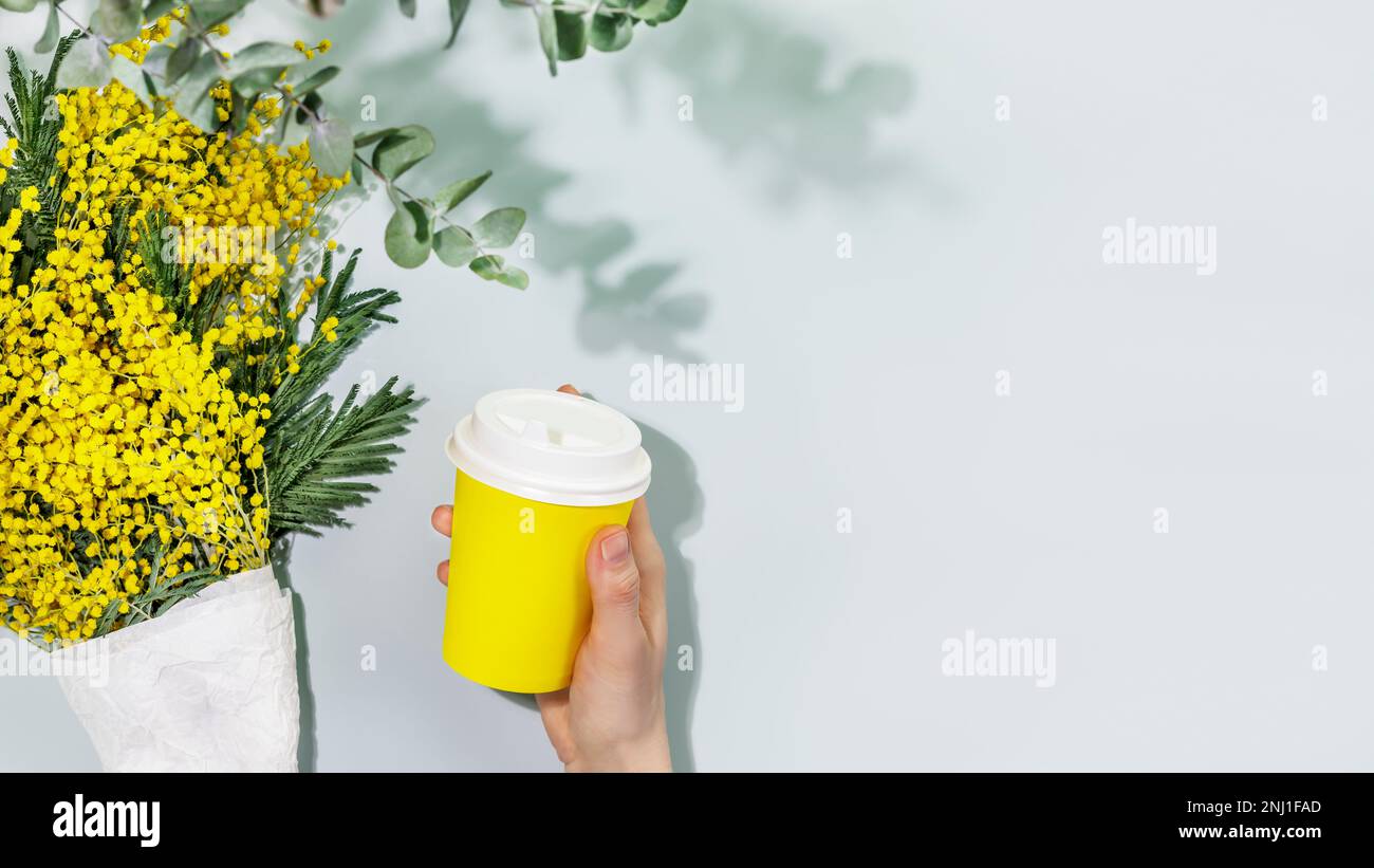Coffee to go. Spring life style with bouquet of mimosa flowers and female hand holds disposable cardboard cup with coffee on blue background. Takeaway Stock Photo