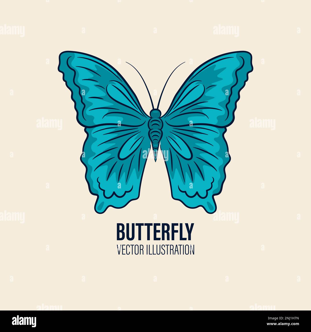 Vector Hand Drawn Butterfly Icon Closeup Isolated on White Background ...