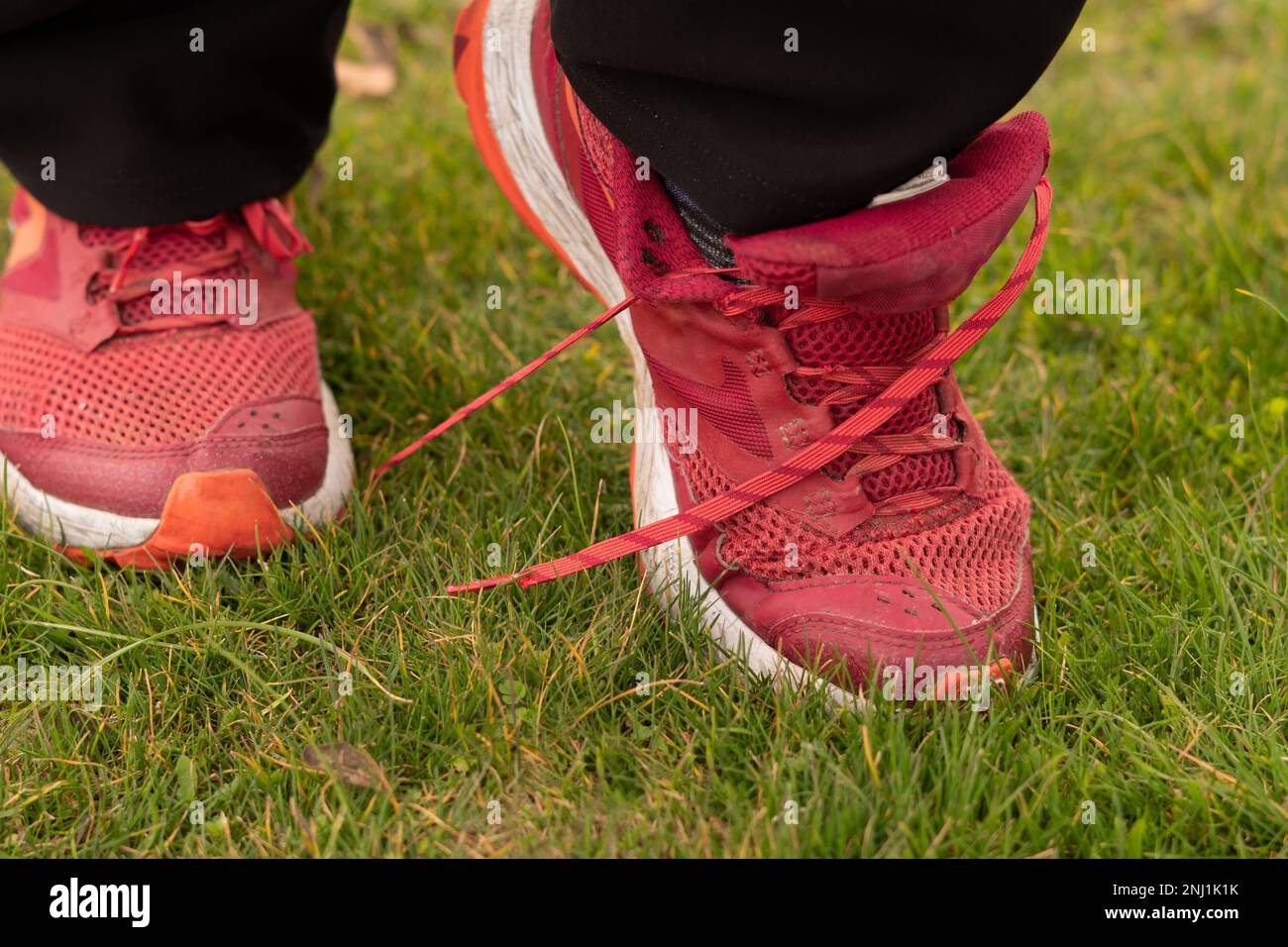 woman trips over the laces of her red sneakers Stock Photo