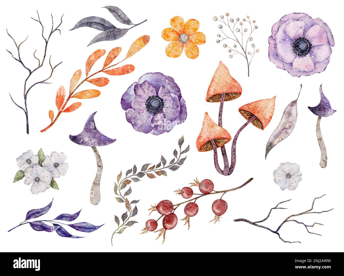 Watercolor floral clipart with branches, anemone, mushroom, leaves, rosehip. Orange and Purple color Stock Photo