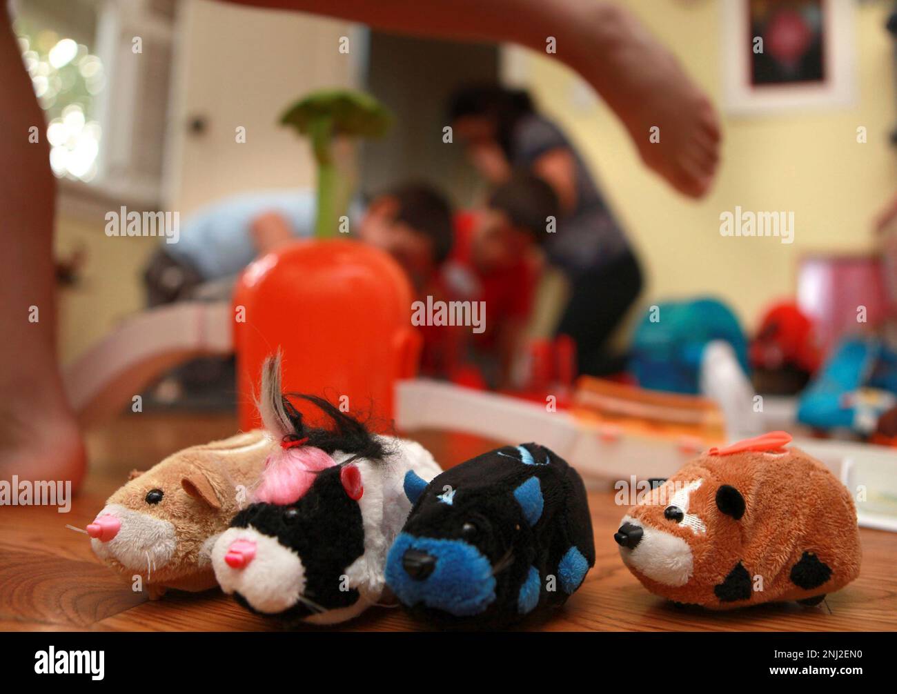 ZhuZhu Pets ready to be played with at the home of Ana Picazo in Palo Alto Calif. on Thursday November 18 2010. Zhu Zhu Pets come as 9 different characters named Patches