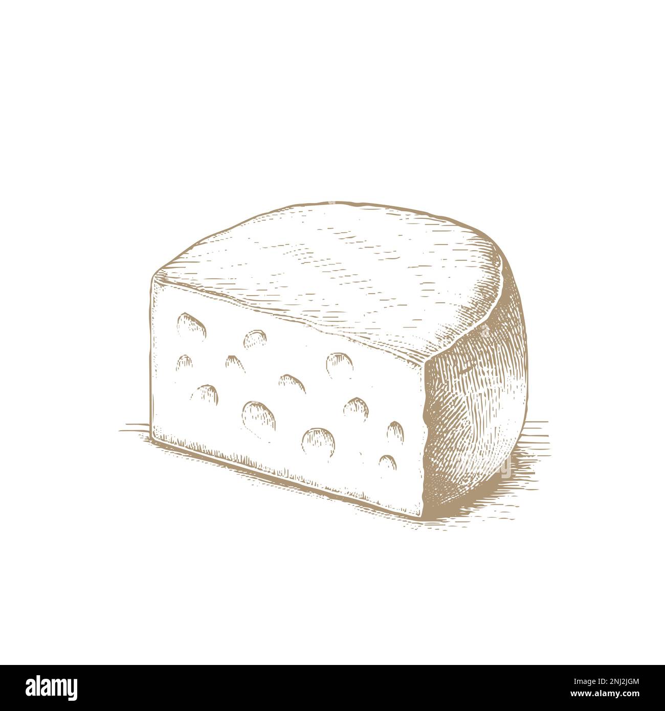 Gouda cheese wheel and piece. Ink sketch isolated on white background