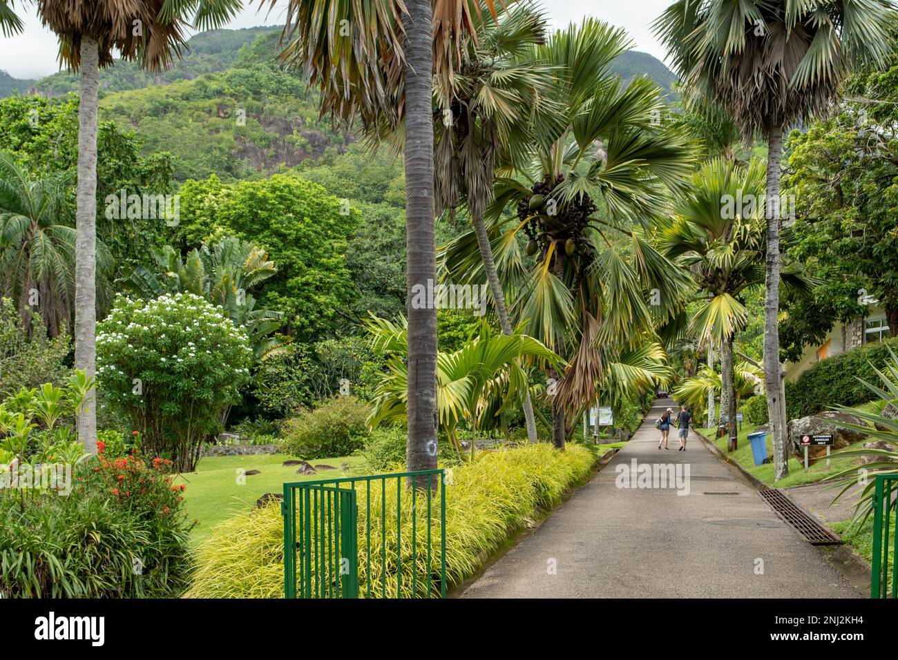 Indian botanical gardens hi-res stock photography and images - Alamy