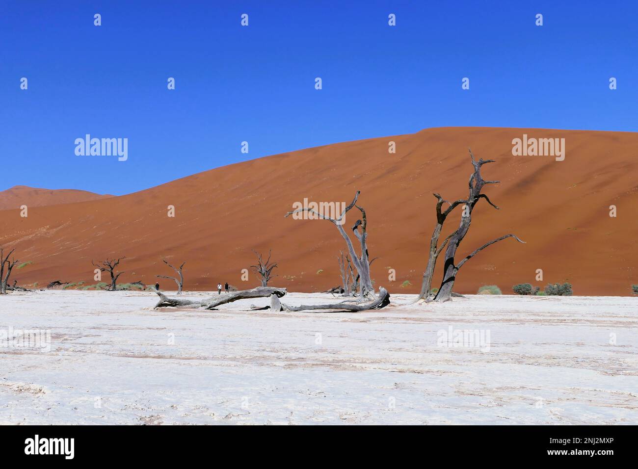 Small lake africa hi-res stock photography and images - Alamy