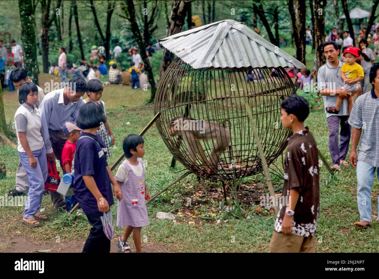 Indonesia, Java, Baturaden; Visitors watch a caged monkey in the zoo. Stock Photo