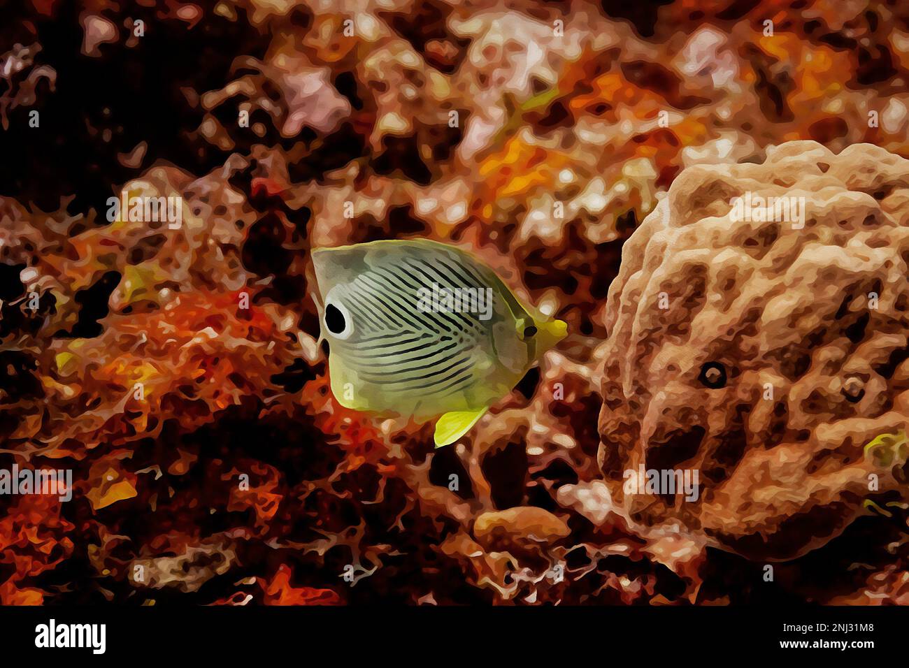 Digitally created watercolor painting of a pair of wild Butterfly Fish swimming over a coral reef Stock Photo