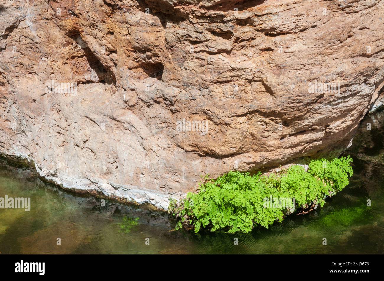 Montezuma Well unit of Montezuma Castle National Monument Stock Photo