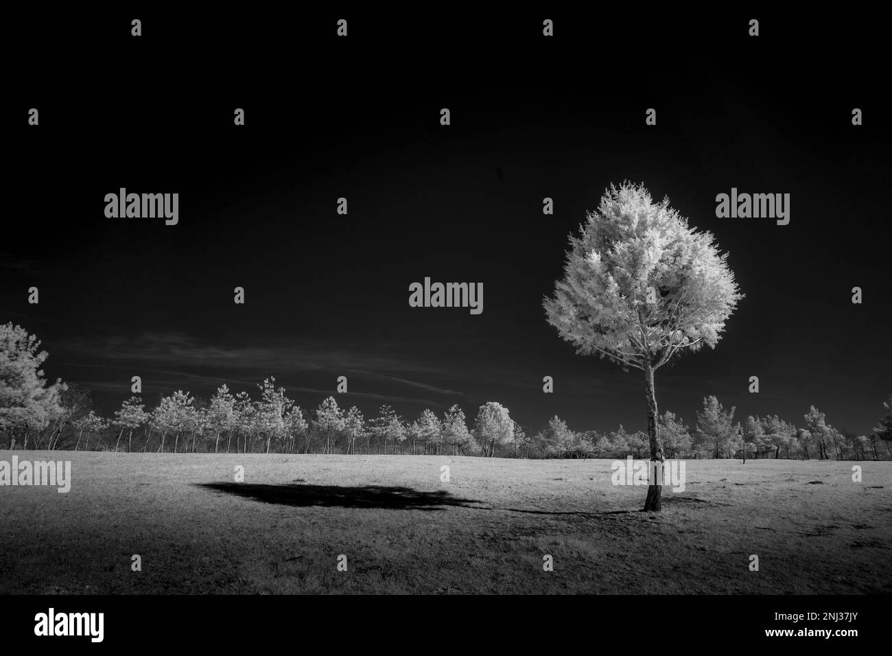 Black and white landscape scenery Stock Photo Alamy