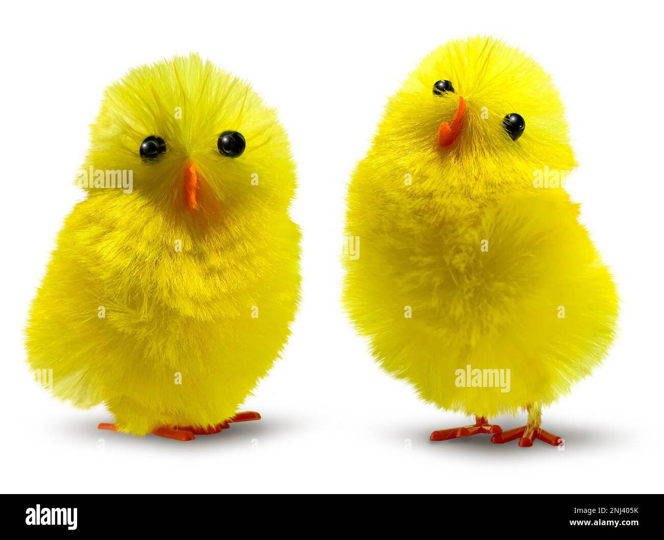 Two cute, funny and flurry yellow Easter decoration chicks isolated, minimum drop shadow Stock Photo