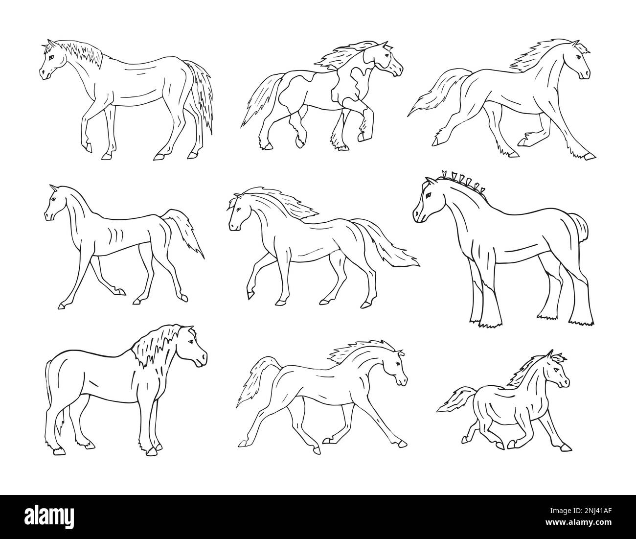 Vector set of hand drawn doodle sketch horse breeds isolated on white background Stock Vector