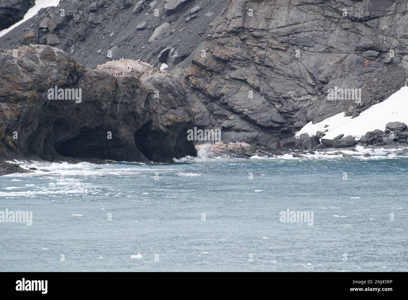 Gentoo penguins and Monument with chilean Lt. Luis Pardo at Point Wild ...