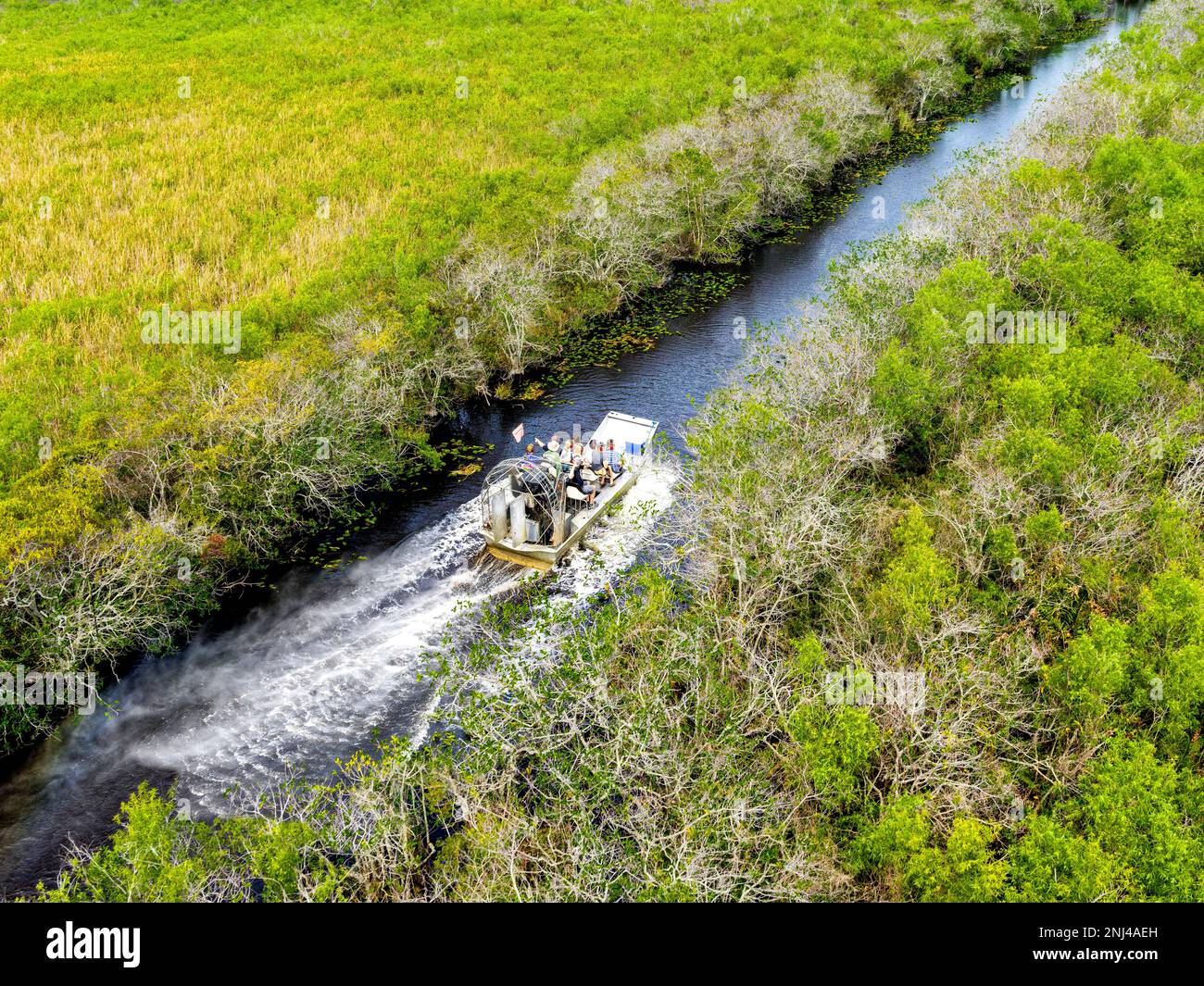 Everglades National Park,Dry Season Aerial View,Helicopter,  Miami,Florida,USA Stock Photo