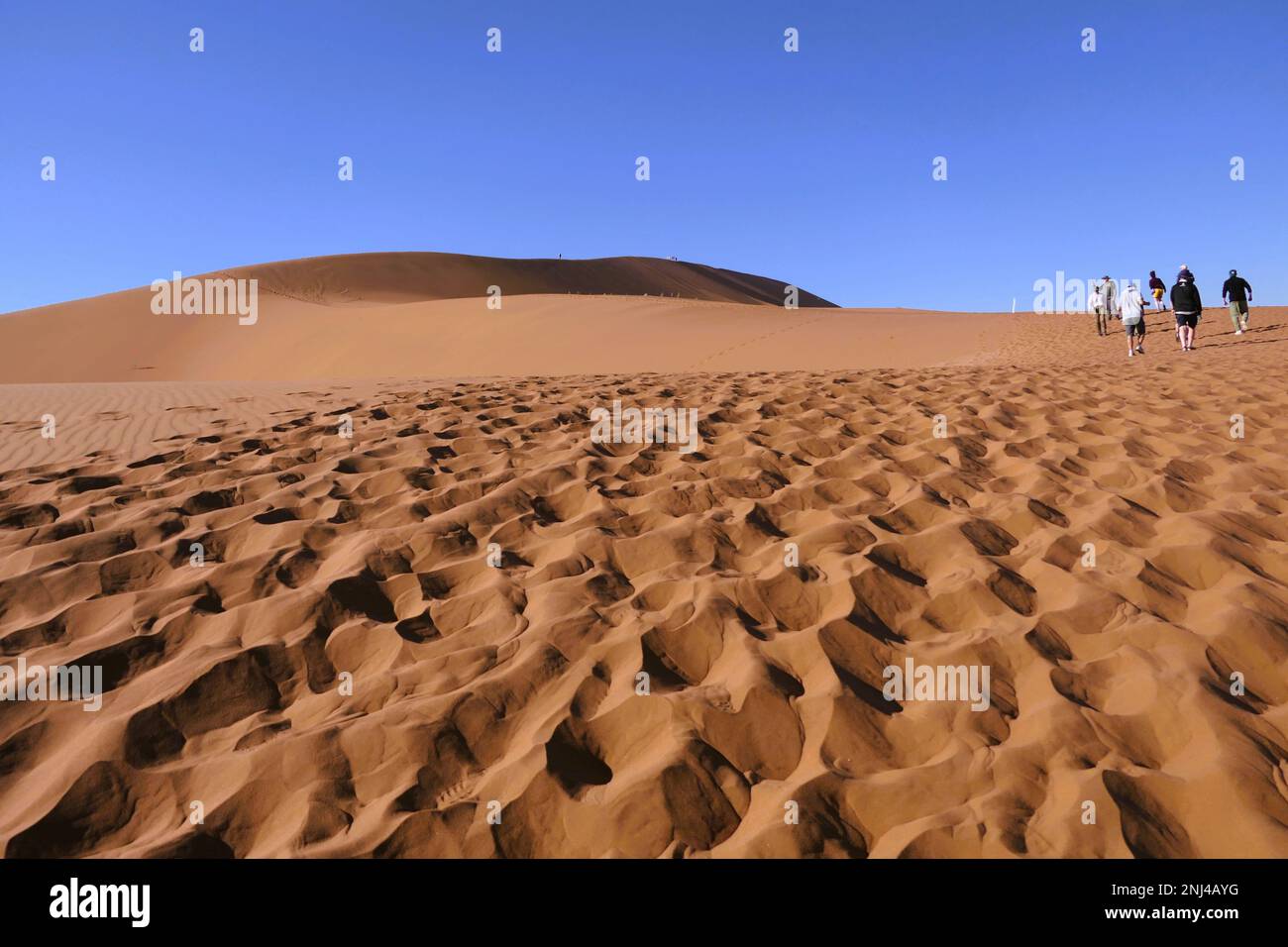 Tailormade adventure in africa hi-res stock photography and images - Alamy