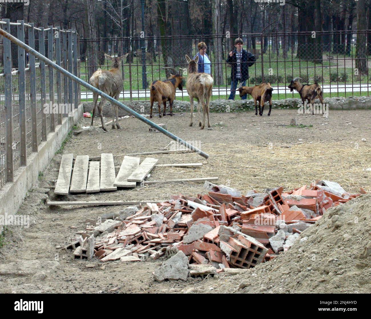 Skopje Zoo photographed March 2004. These photographs led to a number of press articles criticising the conditions at the Zoo.  Over the years the zoo received much criticism for the living conditions of its animals. In 2008 the City allocated 42 million denar in funds to improve the zoo, and the zoo started working with the European Association of Zoos and Aquaria (EAZA) to bring the zoo up to modern standards. By 2010 new enclosures had been built, 85% of the older exhibits at the zoo had been renovated,  the zoo became an EAZA membership candidate. Picture garyroberts/worldwidefeatures.com Stock Photo