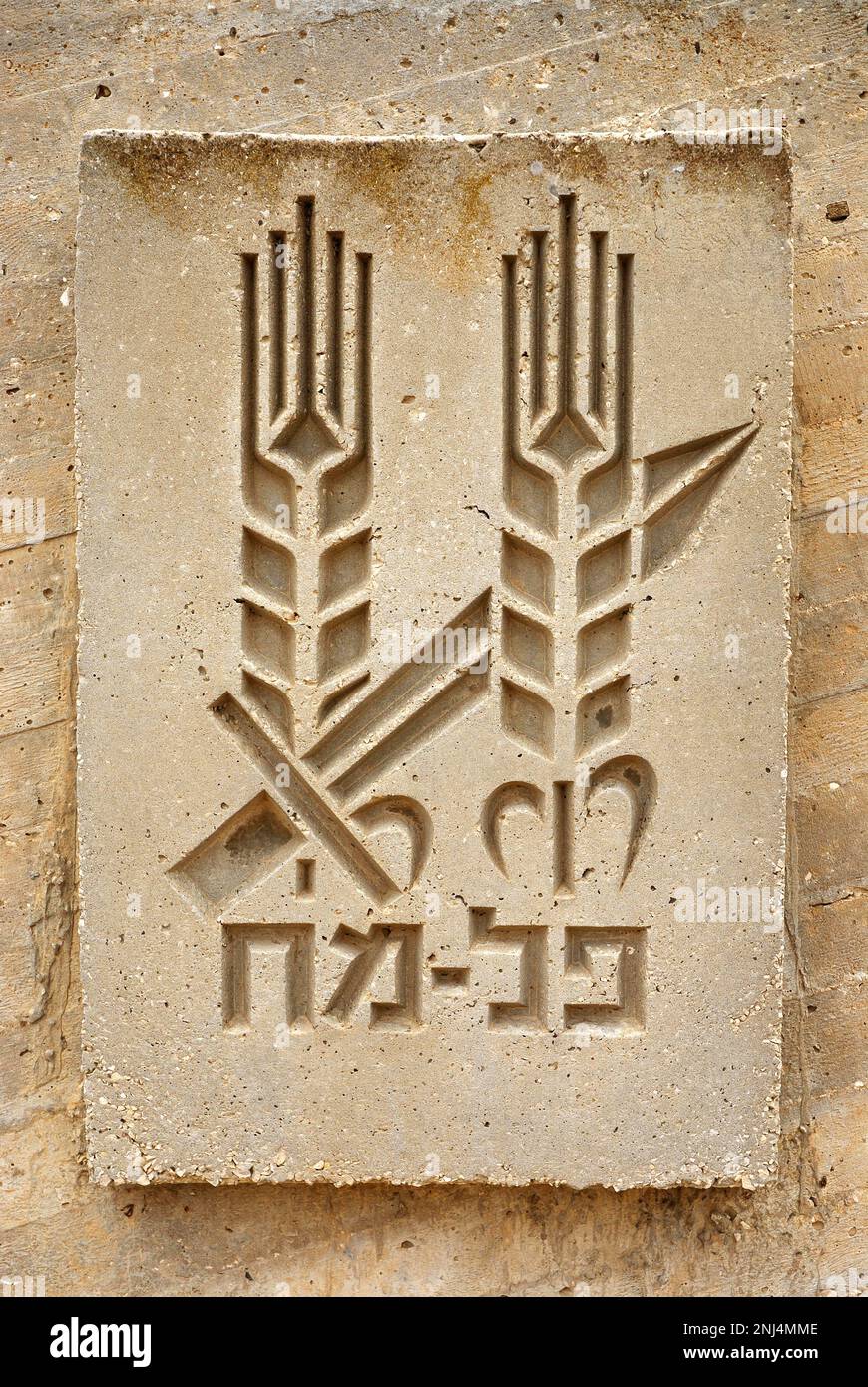 Badge of the Palmach unit, Israel Stock Photo