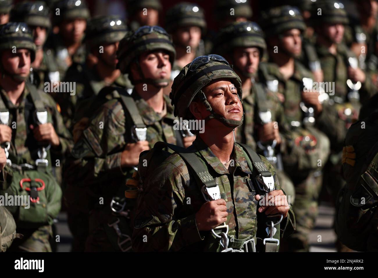 The Parachute Brigade parades during the solemn act of homage to the