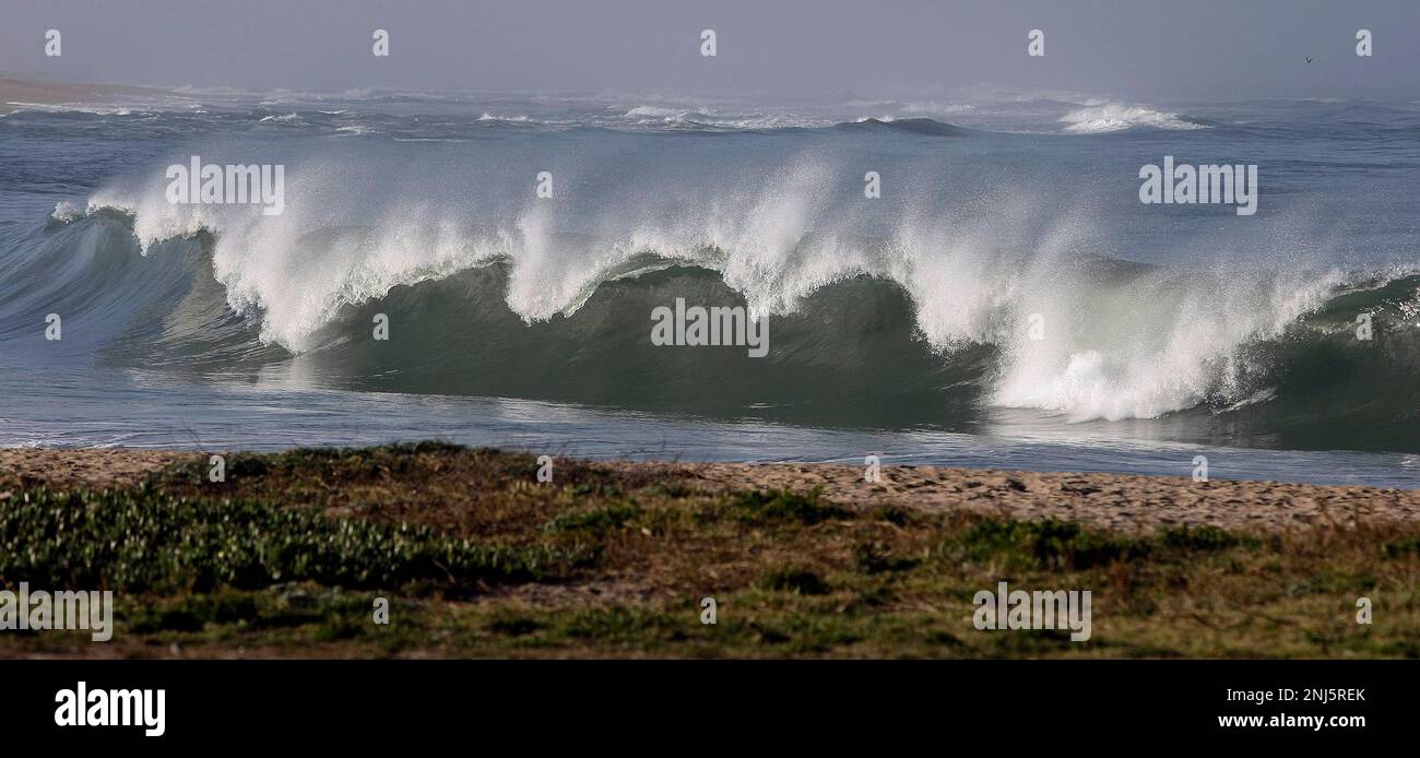 Tsunami warning california marin