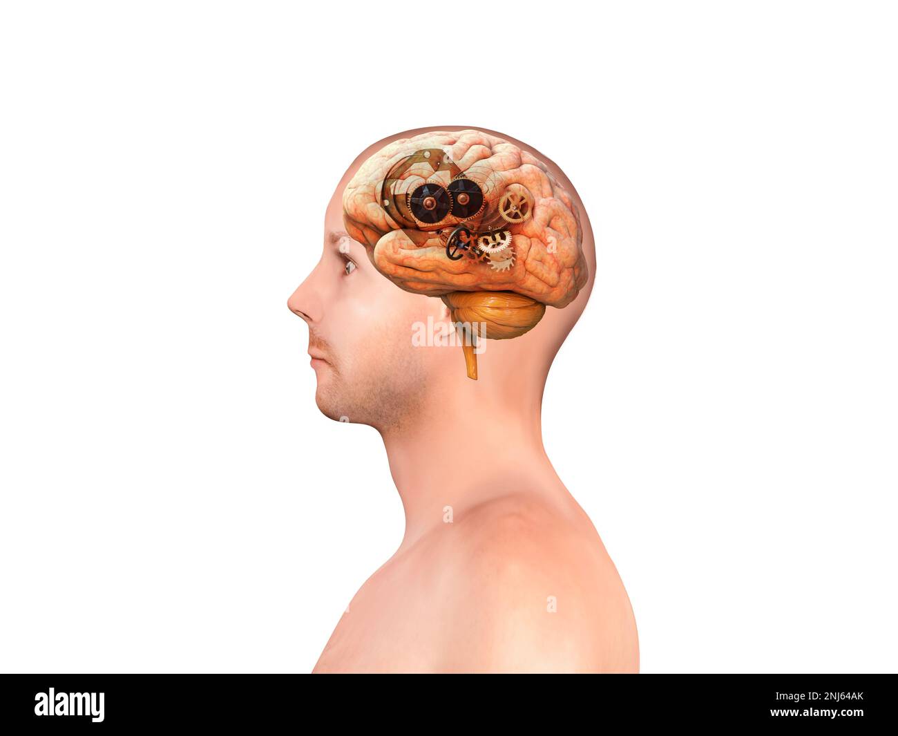 head with gears and brainstorming concept, brain load, brain threads ...