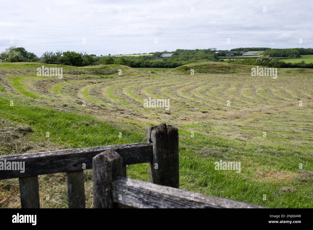 mowed grass at bryn gwyn castle prehistoric site seen from the wooden gateway, on Anglesey Wales UK in May Stock Photo